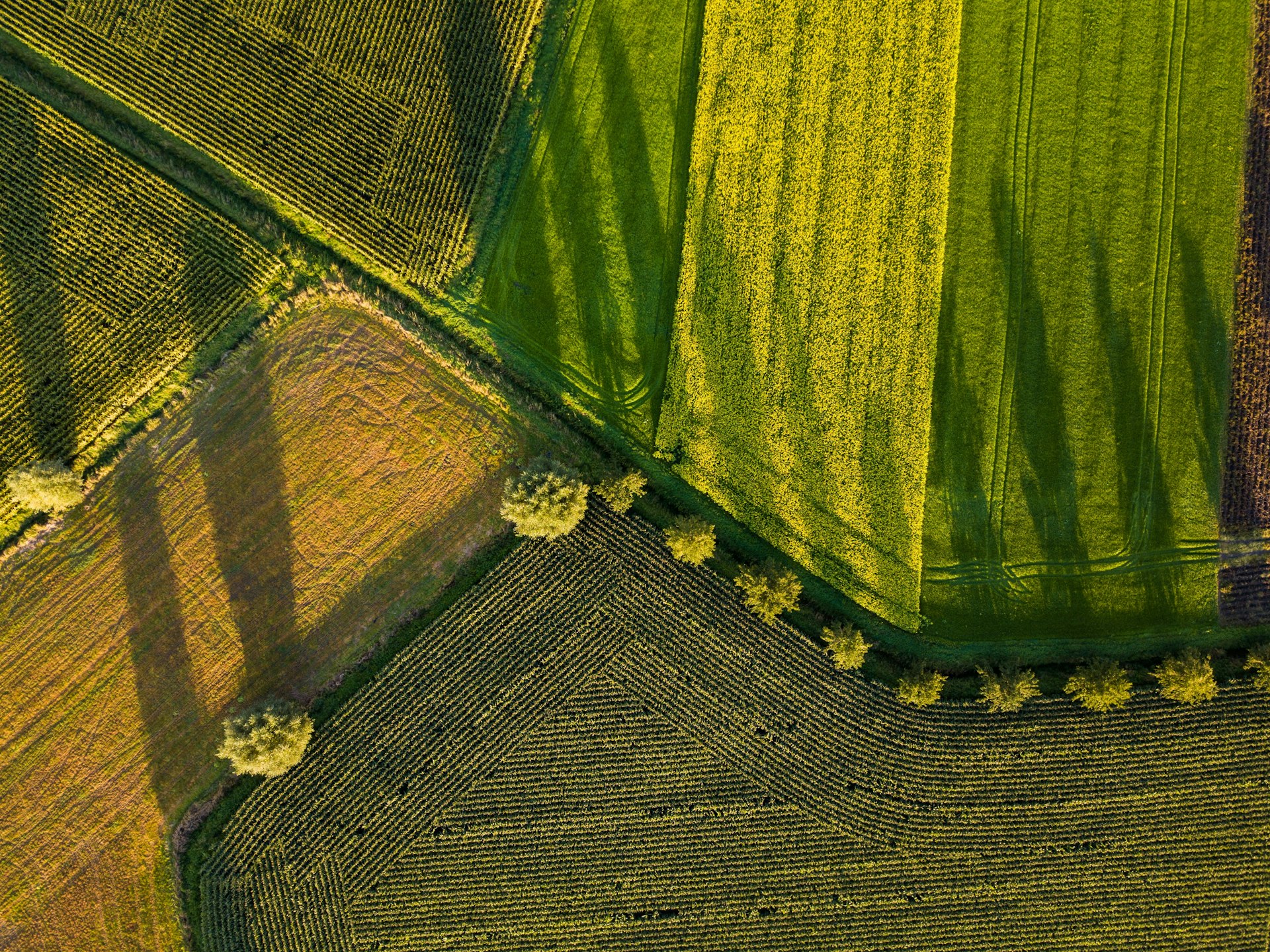 Vista aérea de un área agrícola con lotes delimitados — imagen ilustrativa de referencia territorial