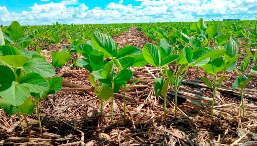 ¿Quién nos paga por ser sostenibles?: un nuevo sistema monetiza con tokens el ahorro de carbono